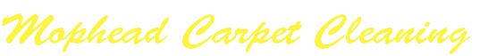 Mophead Carpet Cleaning

